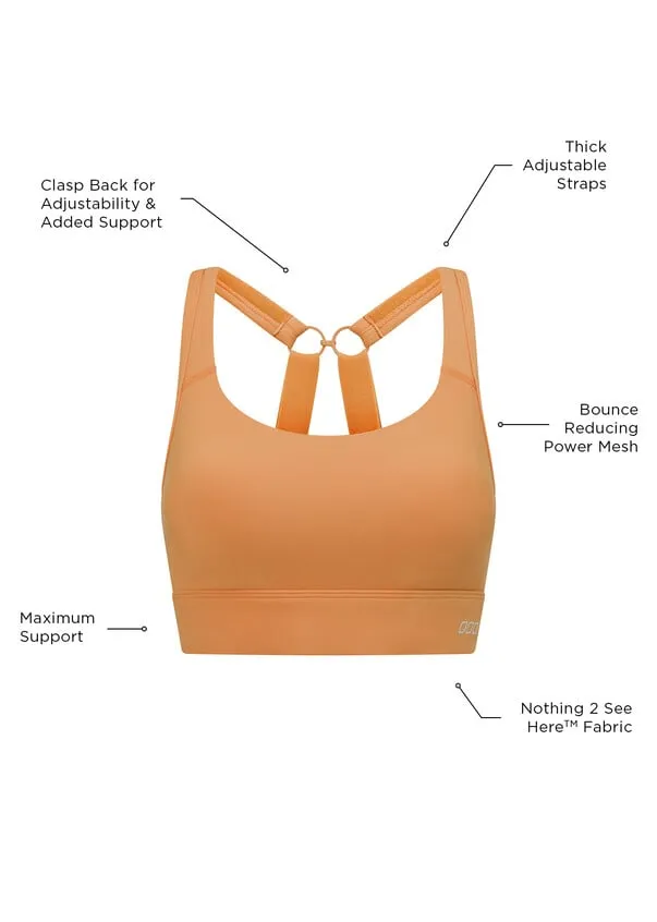 Amy Maximum Support Sports Bra