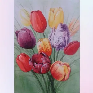 Colorful Tulip Flowers
